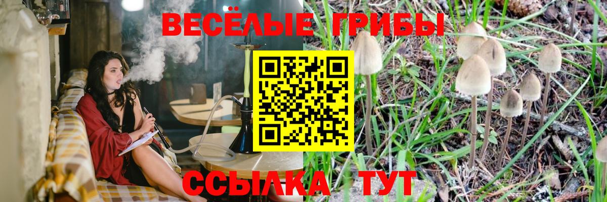 Галлюциногенные грибы прущие грибы Добрянка