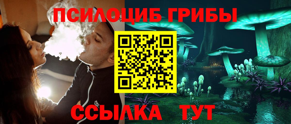 Галлюциногенные грибы MAGIC MUSHROOMS  Вход с VPN  Добрянка 