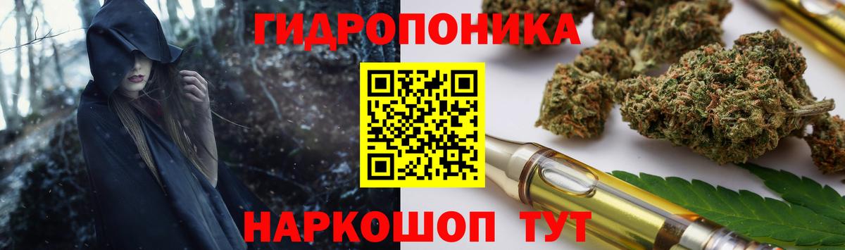 Каннабис конопля Добрянка